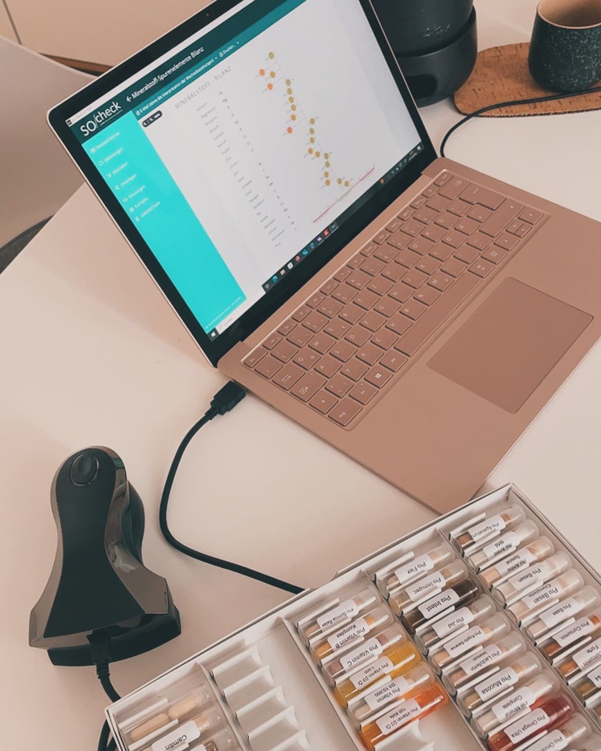 Stefanie Schama Galerie 1